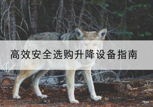 睢县升降货梯厂家推荐-*安全选购升降设备指南