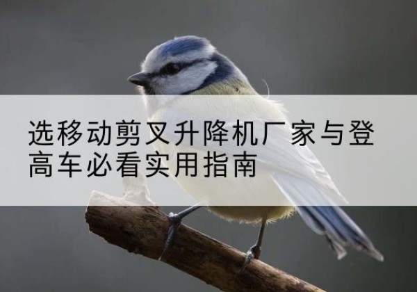 睢县电动升降机厂家-选移动剪叉升降机厂家与登高车必看实用指南